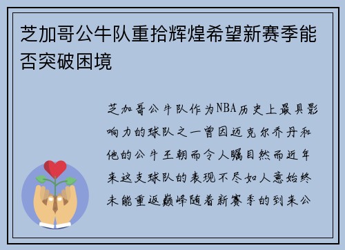 芝加哥公牛队重拾辉煌希望新赛季能否突破困境